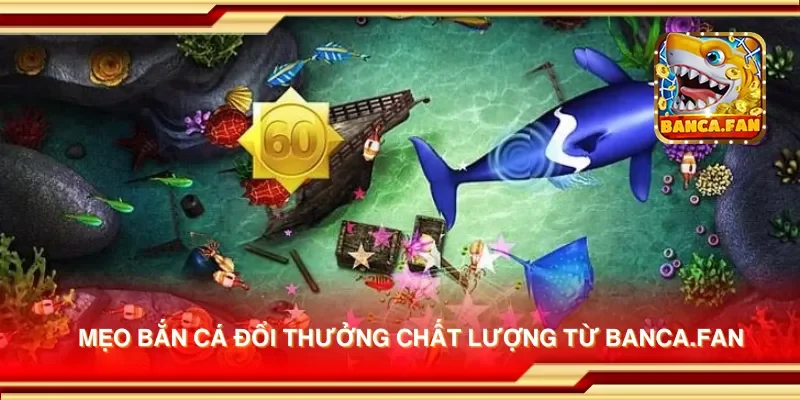Mẹo bắn cá đổi thưởng chất lượng từ redplumfilms.tv