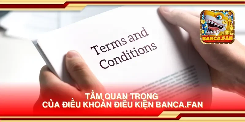 Tầm quan trọng của điều khoản điều kiện redplumfilms.tv
